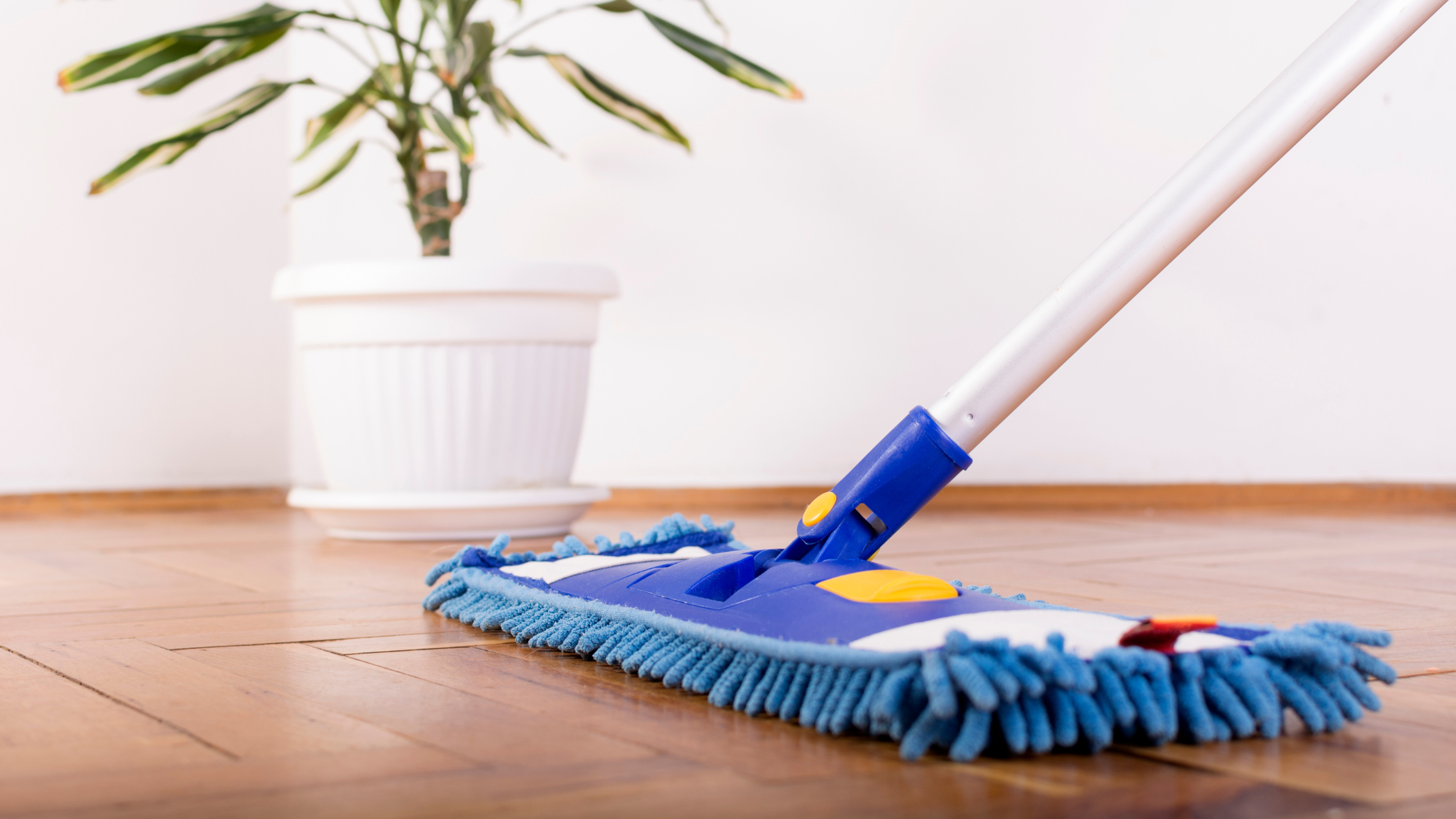 clean and protect hardwood floors