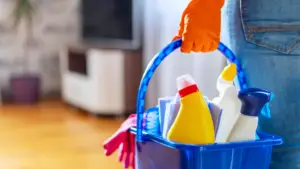 Winter Cleaning Tips