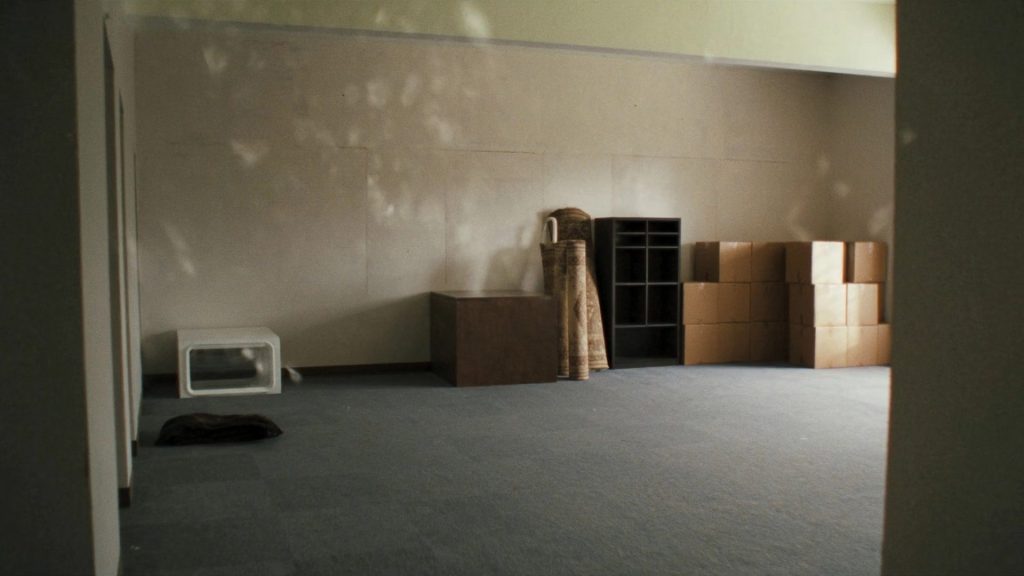 Empty commercial office space mid-move-out with moving boxes and bare walls, representing office move-out cleaning inspection in New Jersey